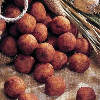 Edel-Marzipan-Kartoffeln